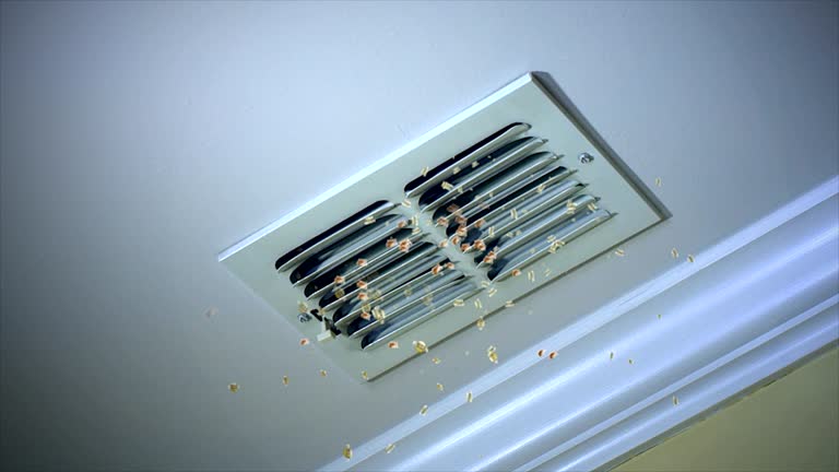 Best Ventilation Cleaning Services  in Antioch, IL